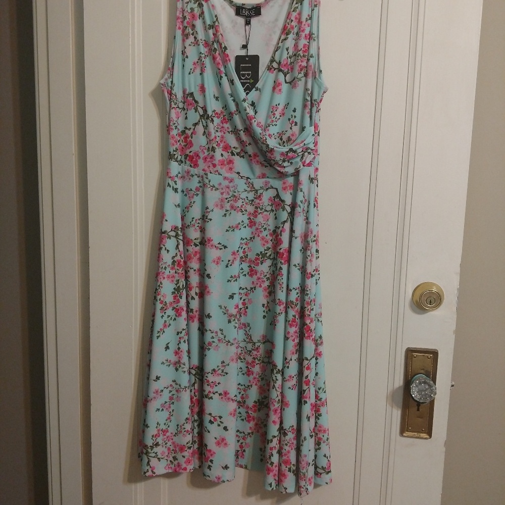 Beautiful Women's Dress